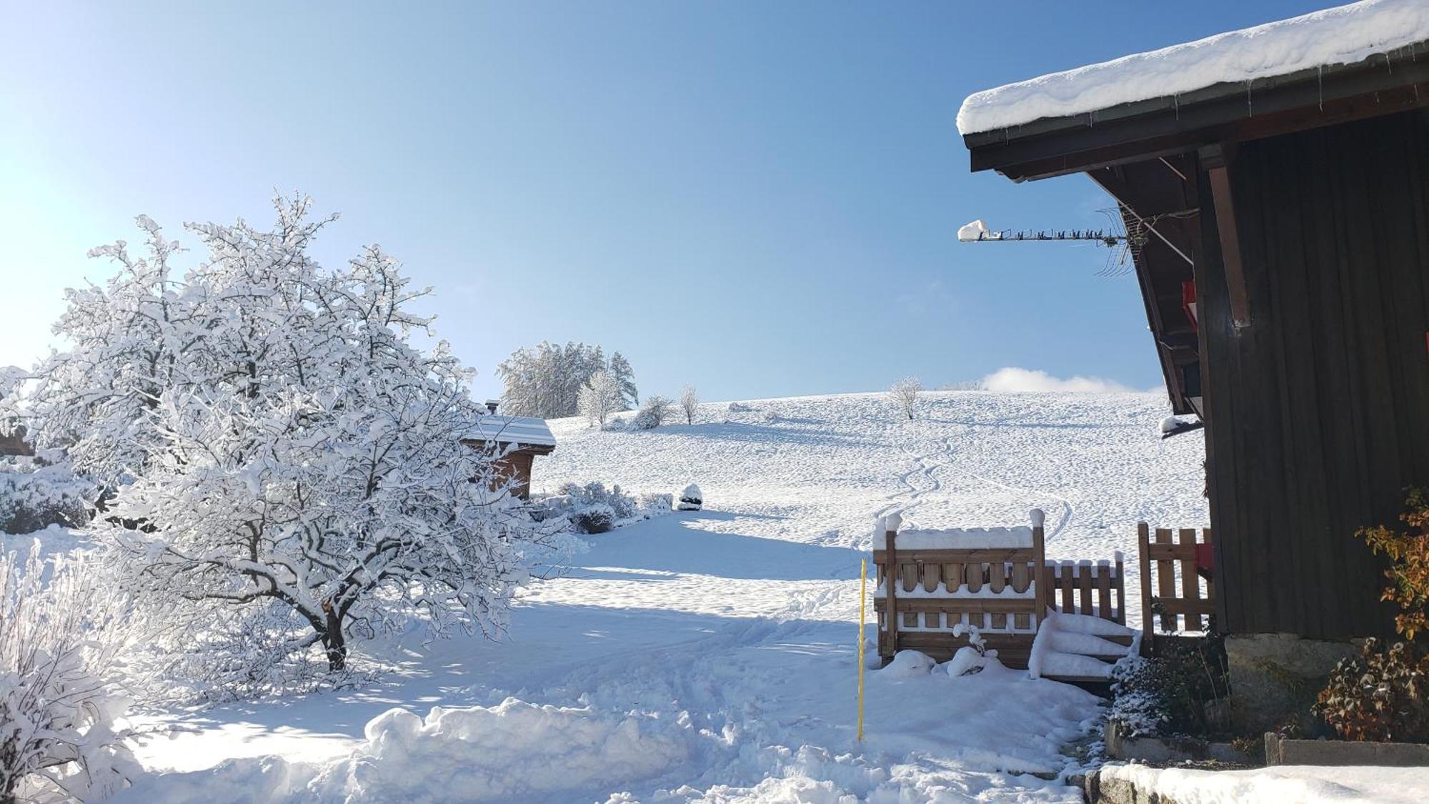 Le Mazot De Janton Chalet